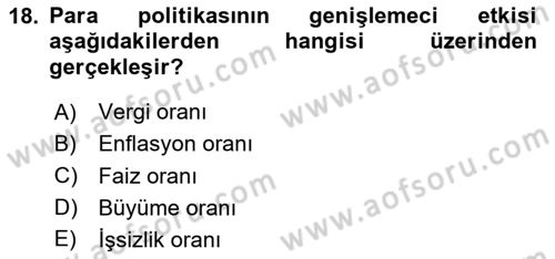 İktisada Giriş 2 Dersi 2025 - 2026 Yılı Yaz Okulu Sınav Soruları 18. Soru
