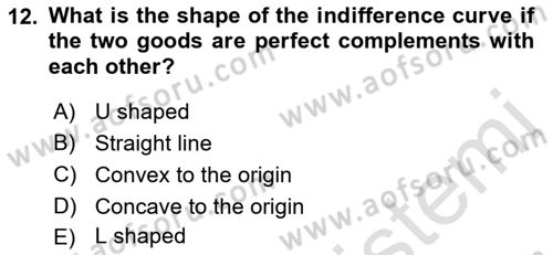 Introduction to Economics 1 Dersi 2017 - 2018 Yılı (Vize) Ara Sınav Soruları 12. Soru