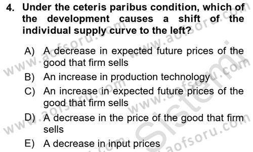 Introduction to Economics 1 Dersi Ara Sınavı Deneme Sınav Soruları 4. Soru