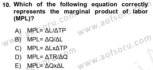 Introduction to Economics 1 Dersi 2017 - 2018 Yılı (Final) Dönem Sonu Sınav Soruları 10. Soru