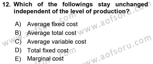 Introduction to Economics 1 Dersi 2017 - 2018 Yılı (Final) Dönem Sonu Sınav Soruları 12. Soru