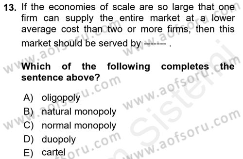 Introduction to Economics 1 Dersi 2017 - 2018 Yılı (Final) Dönem Sonu Sınav Soruları 13. Soru