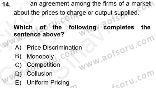 Introduction to Economics 1 Dersi 2017 - 2018 Yılı (Final) Dönem Sonu Sınav Soruları 14. Soru