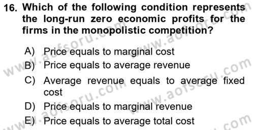 Introduction to Economics 1 Dersi 2017 - 2018 Yılı (Final) Dönem Sonu Sınav Soruları 16. Soru