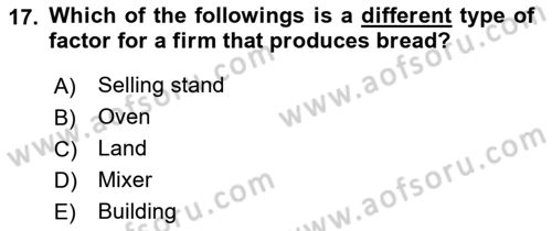 Introduction to Economics 1 Dersi 2017 - 2018 Yılı (Final) Dönem Sonu Sınav Soruları 17. Soru