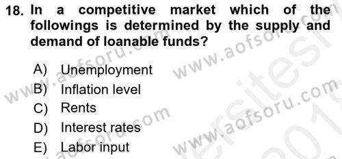 Introduction to Economics 1 Dersi 2017 - 2018 Yılı (Final) Dönem Sonu Sınav Soruları 18. Soru