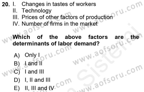 Introduction to Economics 1 Dersi 2017 - 2018 Yılı (Final) Dönem Sonu Sınav Soruları 20. Soru