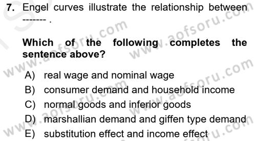 Introduction to Economics 1 Dersi 2017 - 2018 Yılı (Final) Dönem Sonu Sınav Soruları 7. Soru
