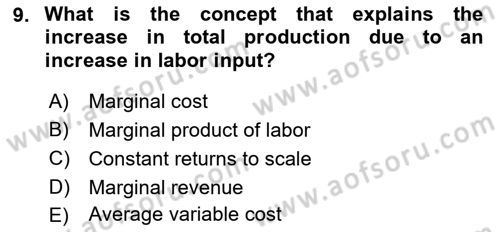 Introduction to Economics 1 Dersi 2017 - 2018 Yılı (Final) Dönem Sonu Sınav Soruları 9. Soru