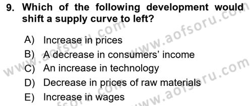 Introduction to Economics 1 Dersi 2018 - 2019 Yılı (Vize) Ara Sınavı 9. Soru