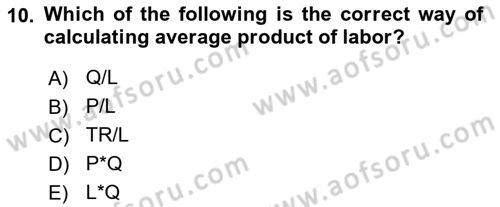 Introduction to Economics 1 Dersi 2018 - 2019 Yılı (Final) Dönem Sonu Sınav Soruları 10. Soru