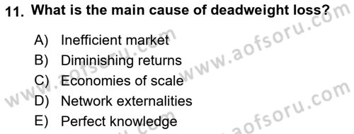 Introduction to Economics 1 Dersi 2018 - 2019 Yılı (Final) Dönem Sonu Sınav Soruları 11. Soru
