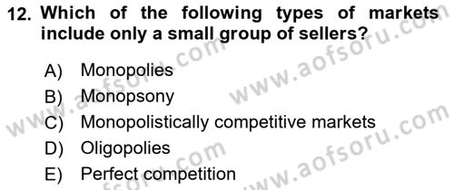 Introduction to Economics 1 Dersi 2018 - 2019 Yılı (Final) Dönem Sonu Sınav Soruları 12. Soru
