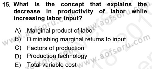Introduction to Economics 1 Dersi 2018 - 2019 Yılı (Final) Dönem Sonu Sınav Soruları 15. Soru