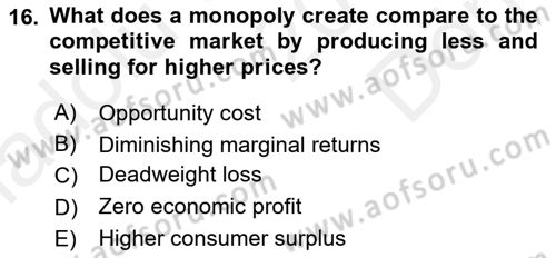 Introduction to Economics 1 Dersi 2018 - 2019 Yılı (Final) Dönem Sonu Sınav Soruları 16. Soru