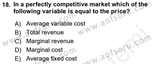 Introduction to Economics 1 Dersi 2018 - 2019 Yılı (Final) Dönem Sonu Sınav Soruları 18. Soru
