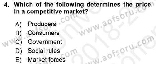 Introduction to Economics 1 Dersi 2018 - 2019 Yılı (Final) Dönem Sonu Sınav Soruları 4. Soru