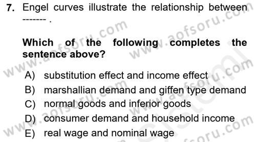 Introduction to Economics 1 Dersi 2018 - 2019 Yılı (Final) Dönem Sonu Sınav Soruları 7. Soru