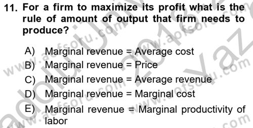 Introduction to Economics 1 Dersi 2018 - 2019 Yılı Yaz Okulu Sınav Soruları 11. Soru