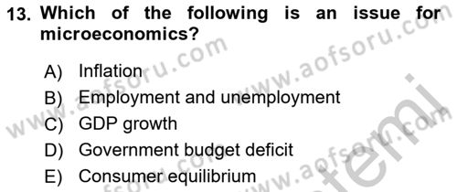 Introduction to Economics 1 Dersi 2018 - 2019 Yılı Yaz Okulu Sınav Soruları 13. Soru