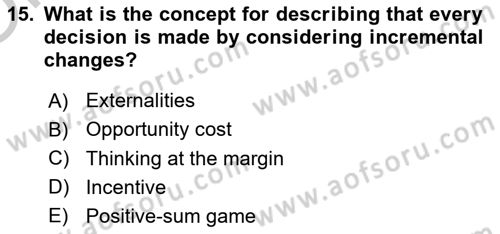 Introduction to Economics 1 Dersi 2018 - 2019 Yılı Yaz Okulu Sınav Soruları 15. Soru