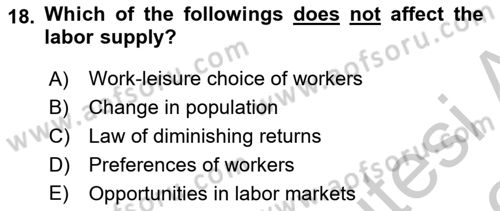 Introduction to Economics 1 Dersi 2018 - 2019 Yılı Yaz Okulu Sınav Soruları 18. Soru