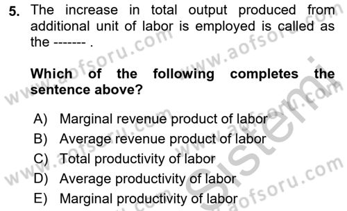 Introduction to Economics 1 Dersi 2018 - 2019 Yılı Yaz Okulu Sınav Soruları 5. Soru