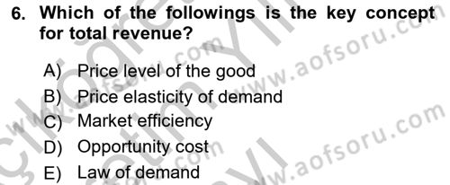 Introduction to Economics 1 Dersi 2018 - 2019 Yılı Yaz Okulu Sınav Soruları 6. Soru