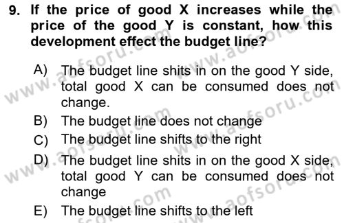 Introduction to Economics 1 Dersi 2018 - 2019 Yılı Yaz Okulu Sınav Soruları 9. Soru