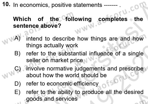 Introduction to Economics 1 Dersi Ara Sınavı Deneme Sınav Soruları 10. Soru