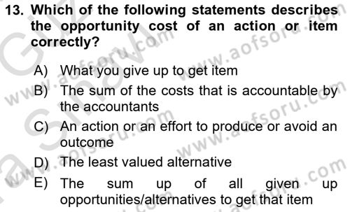Introduction to Economics 1 Dersi Ara Sınavı Deneme Sınav Soruları 13. Soru