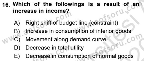 Introduction to Economics 1 Dersi Ara Sınavı Deneme Sınav Soruları 16. Soru