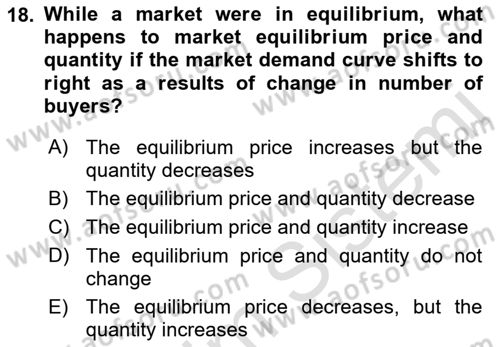 Introduction to Economics 1 Dersi Ara Sınavı Deneme Sınav Soruları 18. Soru