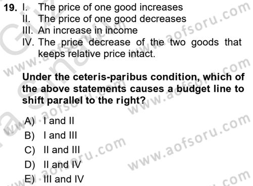 Introduction to Economics 1 Dersi 2019 - 2020 Yılı (Vize) Ara Sınav Soruları 19. Soru