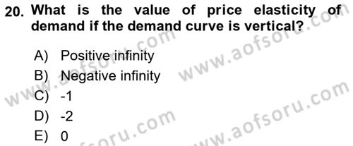 Introduction to Economics 1 Dersi Ara Sınavı Deneme Sınav Soruları 20. Soru