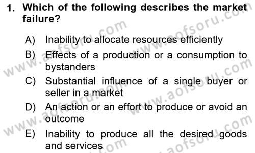 Introduction to Economics 1 Dersi 2019 - 2020 Yılı (Final) Dönem Sonu Sınav Soruları 1. Soru