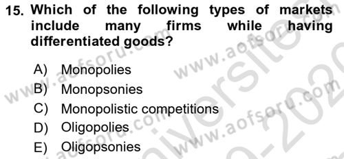 Introduction to Economics 1 Dersi 2019 - 2020 Yılı (Final) Dönem Sonu Sınav Soruları 15. Soru
