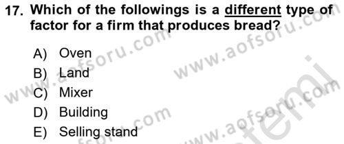 Introduction to Economics 1 Dersi 2019 - 2020 Yılı (Final) Dönem Sonu Sınav Soruları 17. Soru