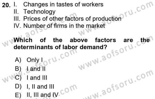 Introduction to Economics 1 Dersi 2019 - 2020 Yılı (Final) Dönem Sonu Sınav Soruları 20. Soru