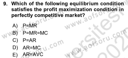 Introduction to Economics 1 Dersi 2019 - 2020 Yılı (Final) Dönem Sonu Sınav Soruları 9. Soru