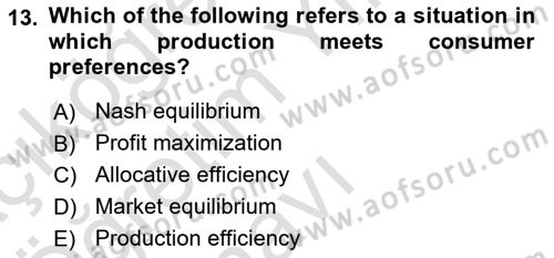Introduction to Economics 1 Dersi 2020 - 2021 Yılı Yaz Okulu Sınav Soruları 13. Soru