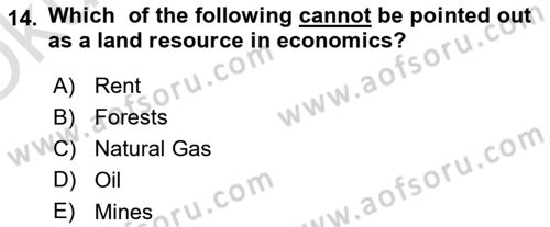 Introduction to Economics 1 Dersi 2020 - 2021 Yılı Yaz Okulu Sınav Soruları 14. Soru