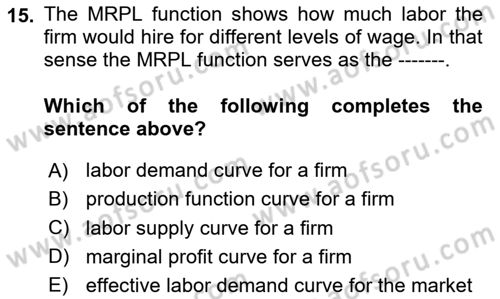 Introduction to Economics 1 Dersi 2020 - 2021 Yılı Yaz Okulu Sınav Soruları 15. Soru