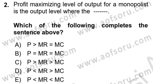 Introduction to Economics 1 Dersi 2020 - 2021 Yılı Yaz Okulu Sınav Soruları 2. Soru