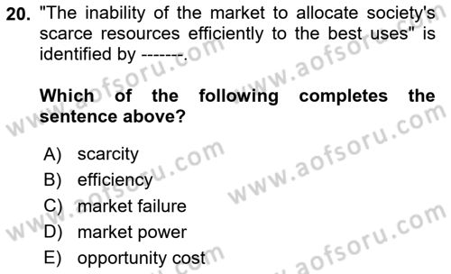 Introduction to Economics 1 Dersi 2020 - 2021 Yılı Yaz Okulu Sınav Soruları 20. Soru