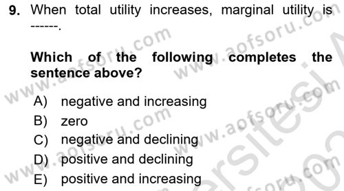 Introduction to Economics 1 Dersi 2020 - 2021 Yılı Yaz Okulu Sınav Soruları 9. Soru
