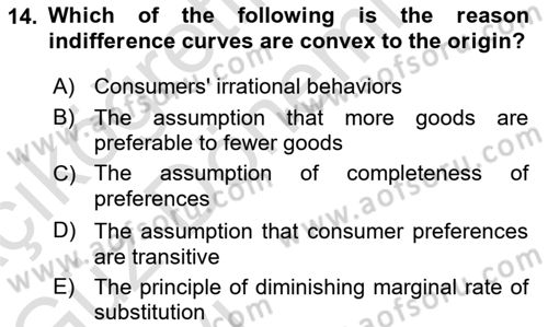 Introduction to Economics 1 Dersi Ara Sınavı Deneme Sınav Soruları 14. Soru