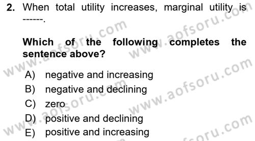 Introduction to Economics 1 Dersi Ara Sınavı Deneme Sınav Soruları 2. Soru