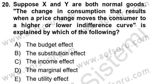Introduction to Economics 1 Dersi Ara Sınavı Deneme Sınav Soruları 20. Soru