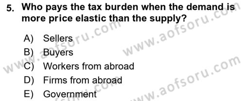 Introduction to Economics 1 Dersi Ara Sınavı Deneme Sınav Soruları 5. Soru